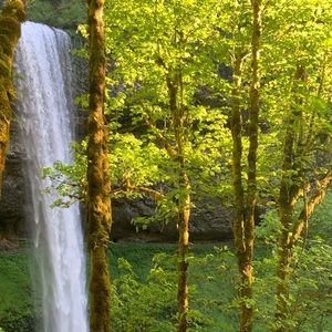 Meet your Posher, Lana